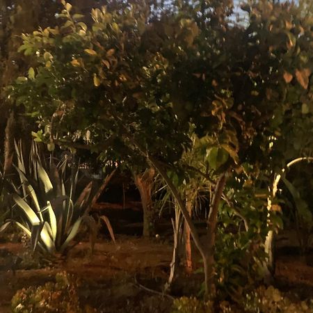 Casa Vacanze Astori Trabia Dış mekan fotoğraf