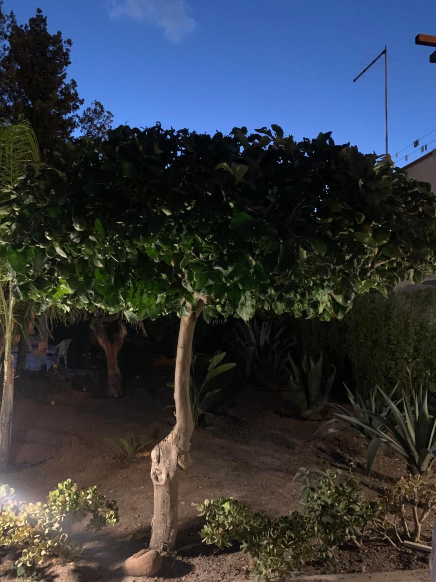 Casa Vacanze Astori Trabia Dış mekan fotoğraf