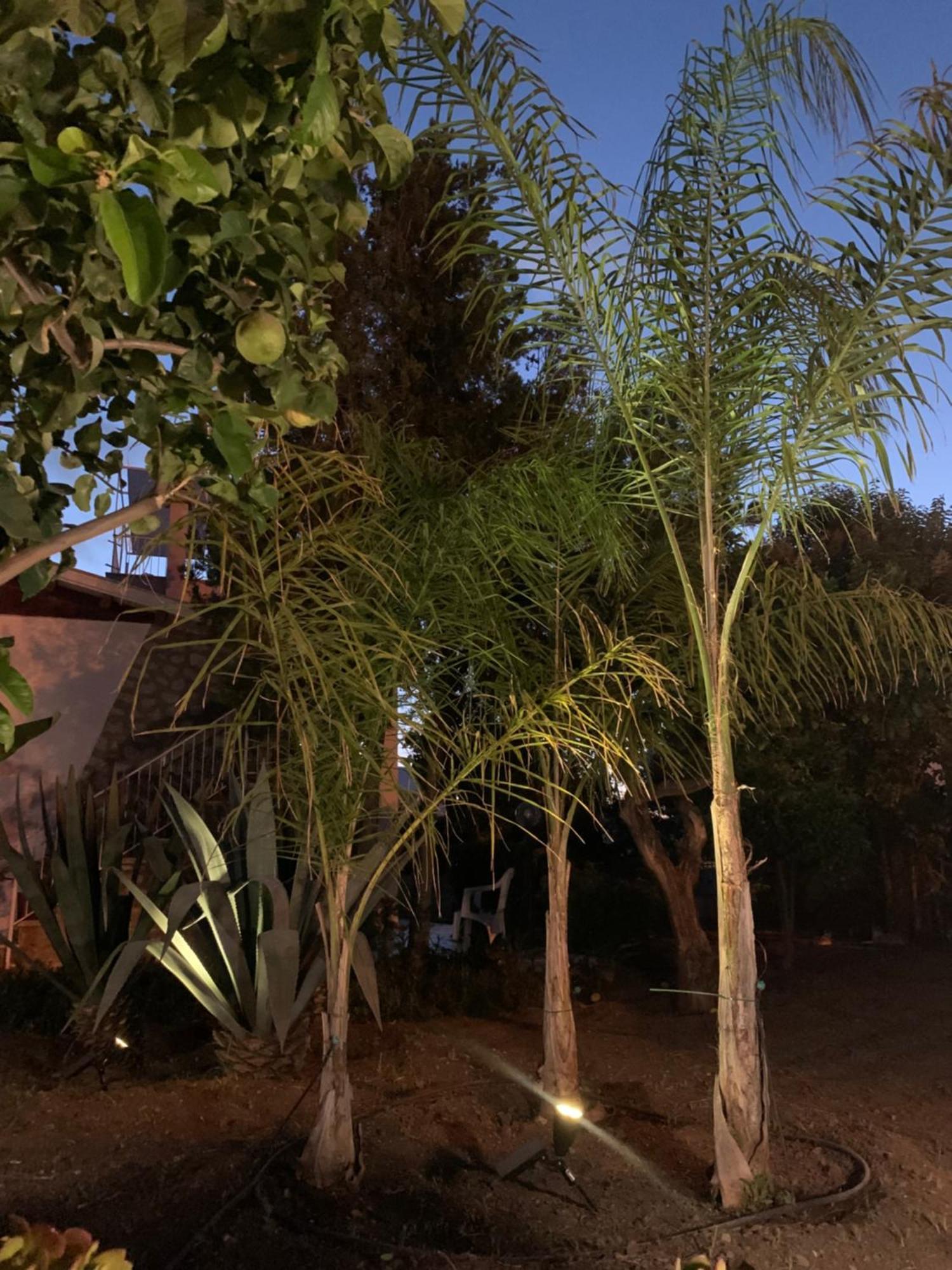 Casa Vacanze Astori Trabia Dış mekan fotoğraf